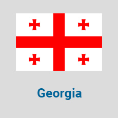 Parcel-Delivery-to-Georgia